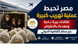 مصر تُحبط محاولة تهريب كائنات نادرة عبر مطار القاهرة الدولي